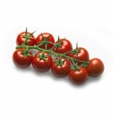 Pomidor Lotta Sweet (ST 7737) 100 nasion